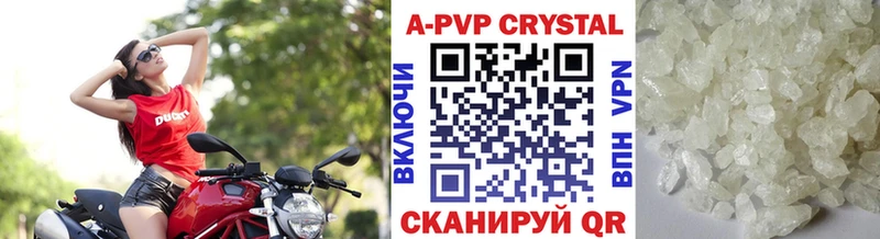APVP СК Гдов