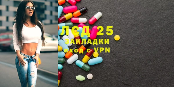 спиды Верея