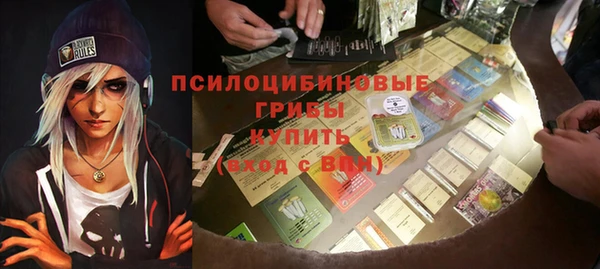 спиды Верея