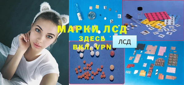 спиды Верея